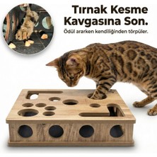 Canlı Saksı Kedikür™ – Tırnak Törpüleyen Tırmalama ve Oyun Kutusu
