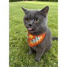 St. Morritz Kroşe Kedi Boyun Tasması - Kedi Aksesuarı - Evcil Hayvan Aksesuar - Cat Collar