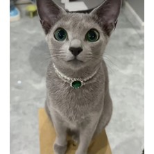 St. Morritz Kedi Zümrüt Yesil Inci Tasma Kolye