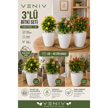 Veniv 3’lü Dekoratif Yapay Bitki Seti | 40-45 cm | Dolamit Taşlı | 10 Meyveli
