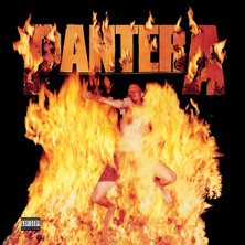 Teknopal Pantera / Reinventing The Steel (Lp) (Plak)