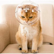 St. Morritz Kedi Şeffaf Nefes Kafa Kaputu Ayarlanabilir Kask Bite Dayanıklı Bakım Pet Yuvarlak Başlık Astronot