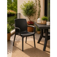 Yognetic Premium Rattan Desenli, Dayanıklı, Kollu Bahçe & Balkon Sandalyesi (2 Adet)