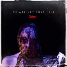Teknopal Slipknot / We Are Not Your Kind (2lp) (Plak)