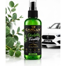 Carlux Oto Parfüm - Okaliptus - Sprey Araç Kokusu 200 M