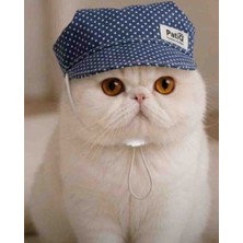 Patiq Mavi Puantiye Kedi Şapkası