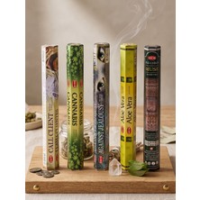 Lueeci 5 Paket (100 adet) 5 Farklı Aroma Kokulu Çubuk Tütsü