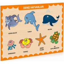 TeknoKapsül 3212 Ahşap Deniz Hayvanları Bul-Tak