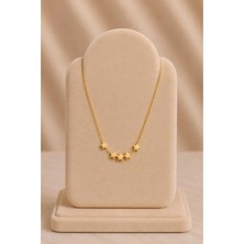 Mdm Style Minimal Taş Detaylı Yıldız Gold Kolye