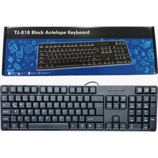 Q USB Siyah Standart Klavye TJ-818