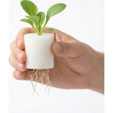 Hidroponik Farm Bitki Yetiştirme Süngeri