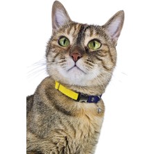 Pompiti Kedi Tasması Zilli Ayarlanabilir Taraftar Model (Sarı – Lacivert)
