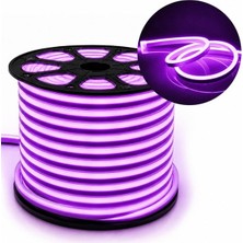 TeknoKapsül PM-5291 Silikon Kaplama 12 Volt 100 Metre Mor Neon LED Şerit Aydınlatma