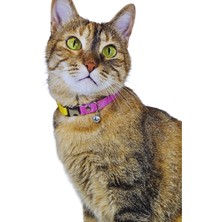 Pompiti Sarı Pembe Zilli Ayarlanabilir Kedi Tasması | Taraftar Renkli Şık Boyun Tasması