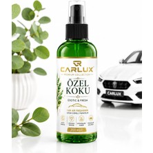Carlux Oto Parfüm - Özel Koku - Sprey Araç Kokusu 200 ml