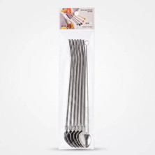 6'lı Kaşıklı Pipet Seti - Metal - Pipet Temizleme Fırçası Midastech