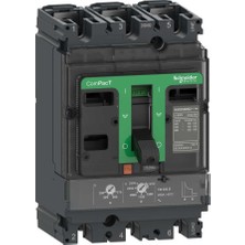 Schneider Electric C25H3TM250 - NSX250H 70KA Ac 3P3D 250A Tmd