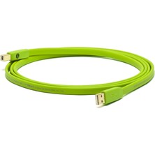 1001 Neo By Oyaide D+ USB Class B / 1.0 mt
