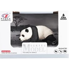 1001 Kutulu Model Yürüyen Panda
