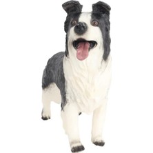 1001 Model Köpek Siyah Beyaz Lessie