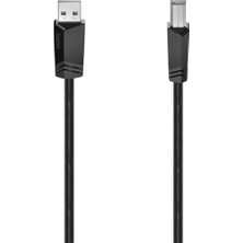 1001 USB 2.0 A Fiş - B Fiş, 5m