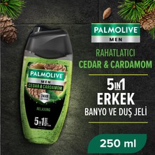 1001 Men Duş Jeli 250 ml Cedarwood