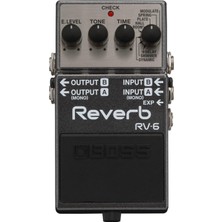 1001 Rv-6 Digital Reverb