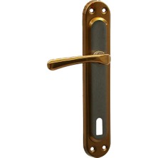 Tuğraçelik Eriş-04 Kumru Oda Kapı Kolu Takımı Sarı Albrifin- 2'li Paket