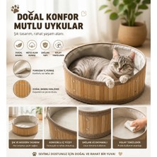 Evcil Hayvan Yatak