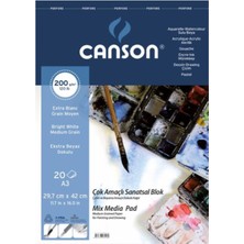 Canson Fineface Spiralli A3 20 Yaprak Çok Amaçlı Resim ve Çizim Bloğu 200GR FCNS20020A3US