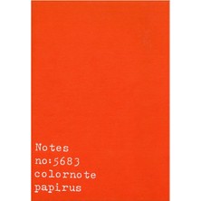 Colornote Papirüs Notes 16X23 Terzi Dikiş Karton Kapak 56 Yaprak Çizgili Defter