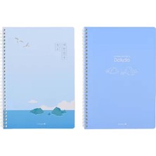 Morning Glory 2500 Dokdo Iv Sp Note 11111-89182