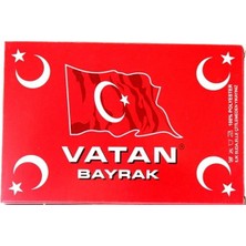 Vatan Bayrak 200X300 cm Polyester