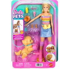 Barbie Paten Eğlencesi JMJ44