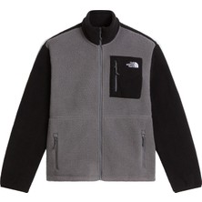 The North Face M Mountaın Athletıcs 1/4 Zıp Fleece 2.0 Erkek Sweatshirt NF0A8J82JK31