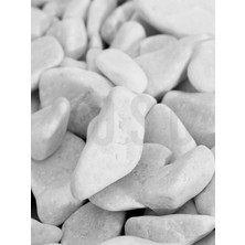 Natural Beyaz Dolomit Dekoratif Çakıl Taşı, 2-4 Cm, 3 Kg, Iç ve Dış Mekan Peyzaj Için