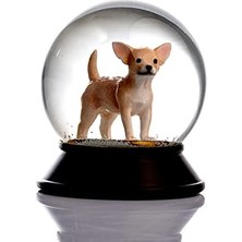 Cam ve Reçine Altın Patiler Köpek Chihuahua (Kayısı) Kar Küresi Hediye