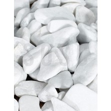 TeknoKapsül Natural Beyaz Dolomit Dekoratif Çakıl Taşı, Iç ve Dış Mekan Peyzaj Için, 2-4 Cm, 1 Kg, Bahçe Saksı Süsü