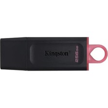 TeknoKapsül 256GB USB Bellek Usb3.2 Gen1 DTX/256 GB