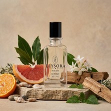 Elysora M008 - Erkek Parfüm