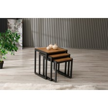 Sehpol Üçlü Zeyna Zigon Sehpa 50X40X52/45X40X46/40X40X40 (Antrasit - Atlantik Çam)