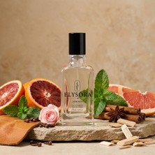 Elysora M005 - Erkek Parfüm