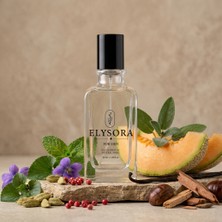 Elysora M010 - Erkek Parfüm