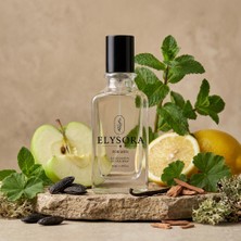 Elysora M006 - Erkek Parfüm
