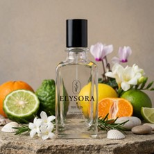 Elysora M004 - Erkek Parfüm