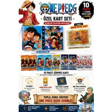 Cantex Tech One Piece 10 Paket Kart + 1 Nadir Metal Koruma Dahil Kart ve Albüm Set