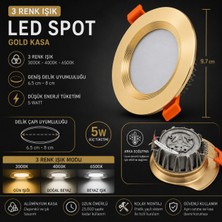 Dila’s Home 5 Watt 3 Renlki LED Spot Beyaz-Günışığı-Sarı Işık Değişebilir Spot (Video'lu)