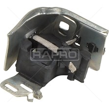 Rapro Dpmix-Hb Egzoz Takozu Orta Renault Megane Ii 02-08 Scenic Ii 03-08