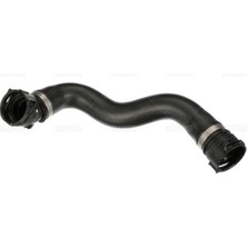 Rapro Dpmix-Hb Radyator Hortumu Alt Bmw F10 F11