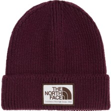 The North Face Tnf Logo Box Cuffed Beanıe Unisex Bere NF0A8CHE10J1